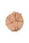 Academic Bronzer - 2