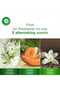 Airwick Life Scents Multi-Layered Fragrance Reed Diffuser Summer Delights 30 ml - 8