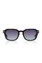 Sbs.2.5026.Col02 Women's Sunglasses