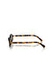 WOMAN OVAL Sun- MU 04ZS - lense size:50mm - HONEY HAVANA - 4
