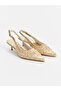 Lcw Steps Beige Pointed Toe Embroidered Women's Heeled Shoes