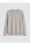 Lcwaikiki Classic Gray Crew Neck Printed Men's Sweatshirt - 2