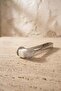 Stainless Steel Oyster Cube Sugar Ice Tongs 12 cm - 2