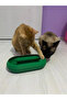 Cat Toy Oval Interactive Cat Play Accessory Pet Toy - 3
