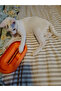 Cat Toy Oval Interactive Cat Play Accessory Pet Toy