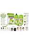 Apple No Ammonia Hair Color, Natural Black, 2-in-1 Colouring & Shining Formula, 250ml x 2 - 2