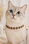 Beaded Cat Neck Accessory Brown Floral Yellow Beaded White Lace-Up Cat Collar
