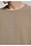 Regular Fit Round Neck Jacquard Men's Beige Sweater - 4