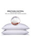 White Satin Stripe Pillow – Queen Size, Soft & Comfortable, Pack of 2 - 6