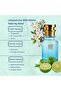 Oil Based Perfume for Women – Oudd Saiv Thaa Queen Inspired Oriental Floral with Notes of Tea, Jasmine & Oud – Alcohol-Free – 8 Hr Longevity for Regal Elegance (80 ML) - 3