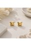 Butterfly Model Steel Earrings