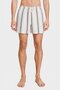 Men Stripe Board Shorts, Multicolor