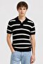 Men Regular Fit Stripe Short Sleeve Polo Shirt, Multicolor