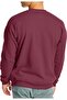 Hans men's ecosmart technology sweatshirt - 2