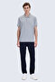 Gray Regular Fit Polo Collar 100% Mercerized Cotton T-Shirt - 8