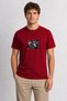 Men's Urban Pigeons Ink Print Design - Red