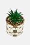 Mickey Mouse Ceramic Planter With Faux Plant - 3