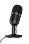 L25 Bright 360 Degree Rgb USB Broadcaster Desktop Microphone - Black - 4