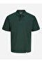 Dark Green Solid Cotton Polo - 2