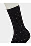 Pack of 3 - Multi-Color Polka Dot Ankle Length Socks - 7