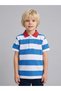 Boys Multi-Color Striped Contrast Collar Polo T-Shirt By Juniorloom