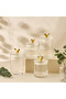 Bird Accent Glass Canister - 500 ml - 8
