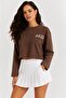 Star Printed Crop Sweatshirt - Brown