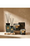 Citruswood Scented Jar Candle - 60 h - 6