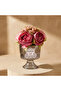Muse Reed Diffuser Gift Set - 4