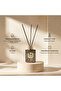 Atelier Stone Amber Reed Diffuser - 100 ml - 6