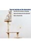 Multi-Level Pet Play Tree with Scratching Post, Ladder & Interactive Activity Areas - 3