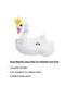 Pool Float Bundle - 4