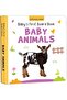 BABY'S FIRST BOARD BOOKS (A SET OF 20 BOOKS) - 6