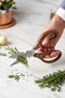 Stainless Steel Multi-Purpose Kitchen Scissors with Acacia Handle - 2