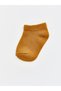 Alita City Farkıyla Lcw Baby Beige Plain 5-Piece Pack Baby Boy Booties Socks - 4