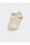 Quality Parts from Çelebi Store Baby Boy Booties Socks 5-Pack - 8