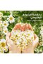 بلسم البابونج المعطر 145 مل - 2