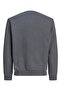 Jjpan Sweat Crew Neck - 2