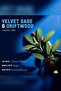 Velvet Sage & Driftwood Shampoo 591ml - 5