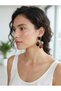 Steel Color Mix Earrings - 2