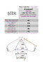 Nolva Comfortable Fit Ornate Buttoned (Chinese Buttoned) Nylon Women's Jacket & Women's Coat & Trench Coat - Black - 2