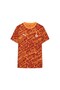 Licensed Puma Culture T-Shirt Lion Wooden Box 78291706 - 2