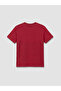 Vizyon New Season Burgundy Crew Neck Basic Short Sleeve Boys' T-Shirt - 4