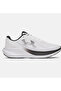 Ua Chase White Men's Sneaker 6014417-100