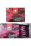 Pure Organic & Healthy Nutrients, Energy And Immune System Booster Without Fillers, Is Vegan Friendly And Has No Added Sugar 12 Sachets. - 5