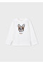 Boy's Long-Sleeved T-Shirt Nata 4022