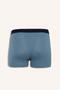 Regular Fit 3-Pack Boxer (26 Au) - 3