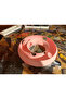 Cat Ring Toy Donut Bulk Interactive Cat Toy Food Reward Toy - 2