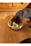 Cat Ring Toy Donut Bulk Interactive Cat Toy Food Reward Toy