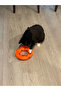 Cat Ring Toy Donut Bulk Interactive Cat Toy Food Reward Toy